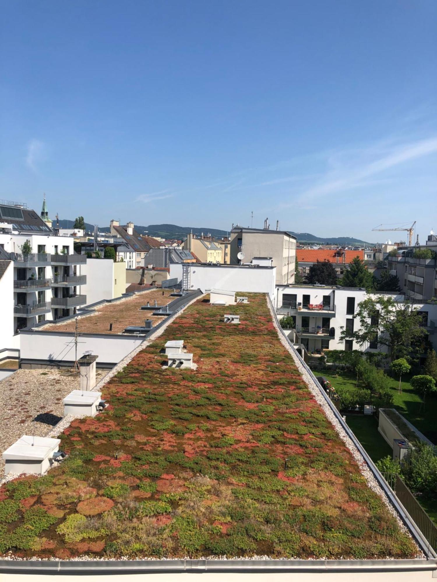 Vienna Sunny Side Up Apartments Екстериор снимка